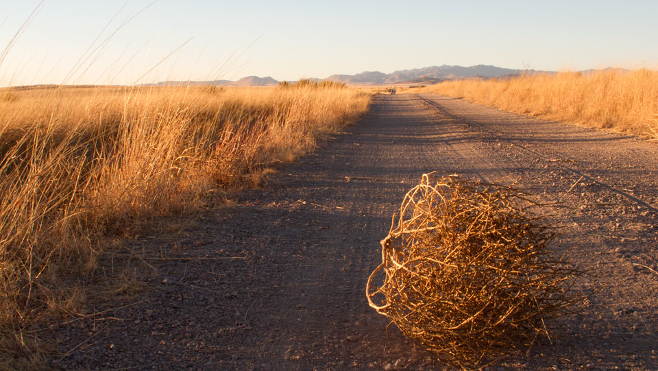 Tumbleweed.